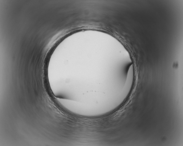 X0000115300199200911301521