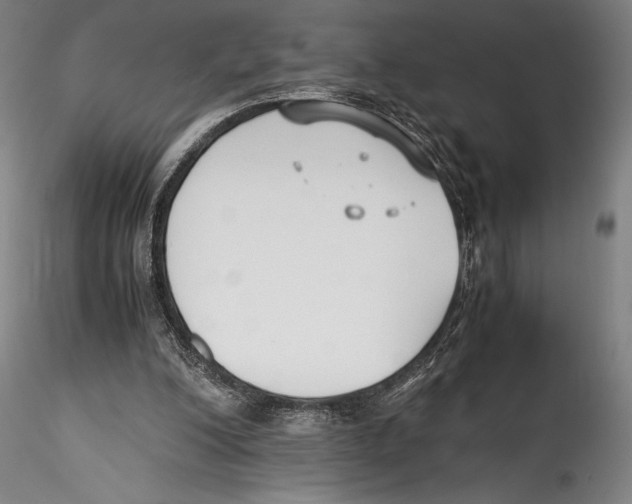 X0000115300200200911301521