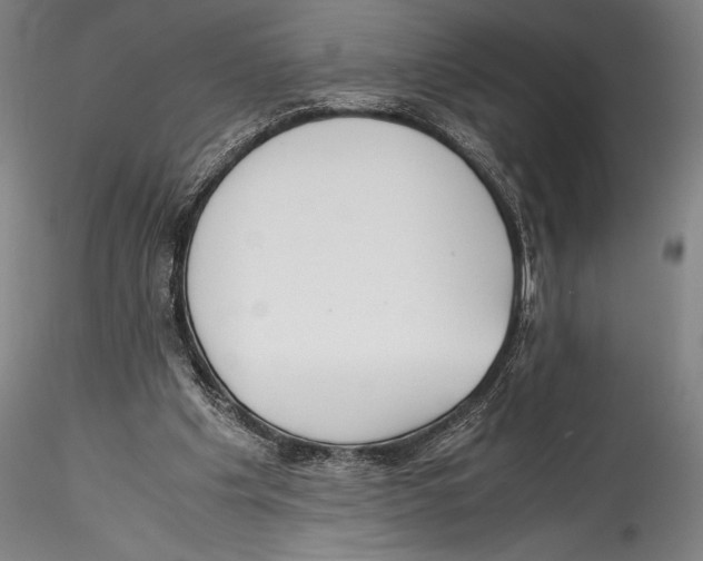 X0000115300201200911301521