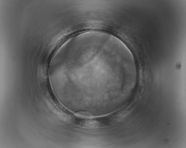 X0000115300203200911301521