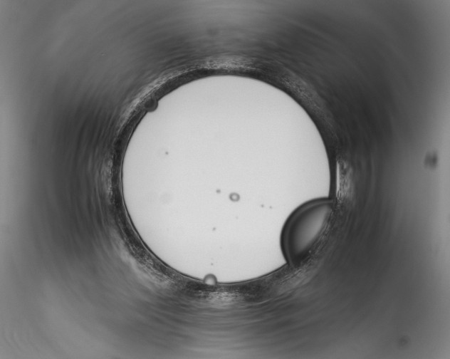 X0000115300204200911301521