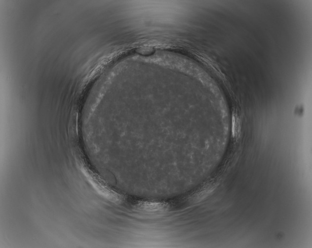 X0000115300205200911301521