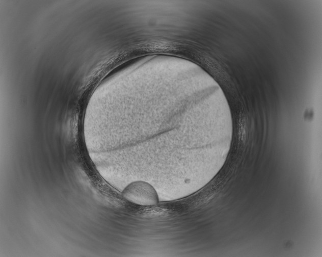 X0000115300206200911301521