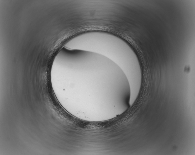 X0000115300207200911301521