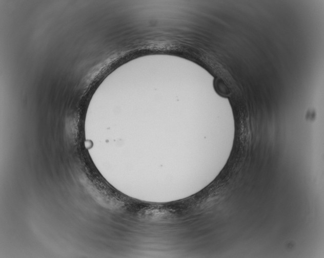 X0000115300208200911301521