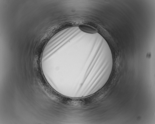 X0000115300209200911301520