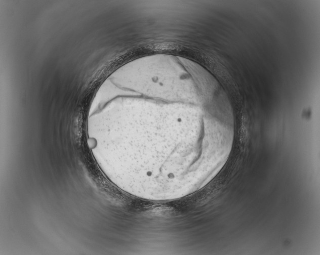 X0000115300210200911301520