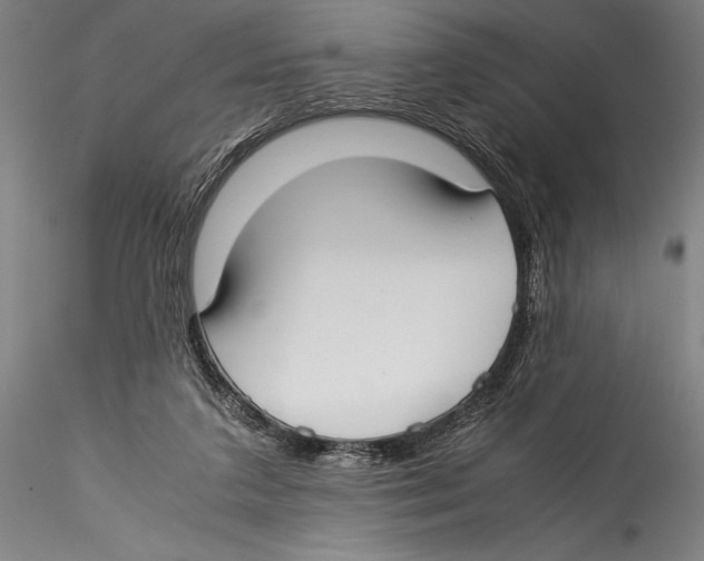 X0000115300211200911301520