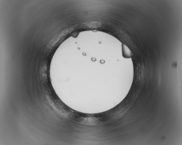 X0000115300212200911301520