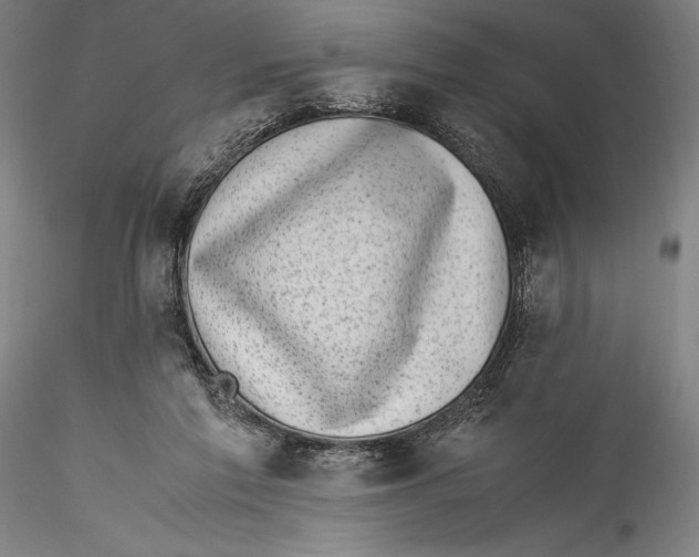 X0000115300213200911301520