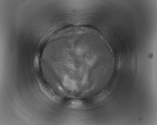 X0000115300214200911301520