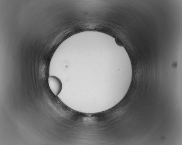 X0000115300216200911301520