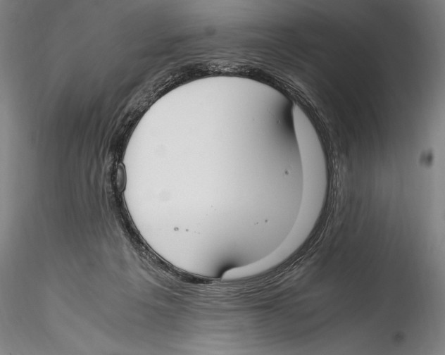 X0000115300217200911301520