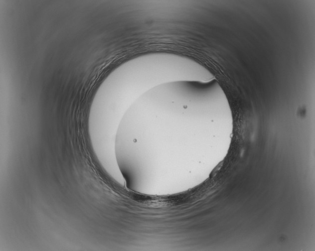 X0000115300219200911301520