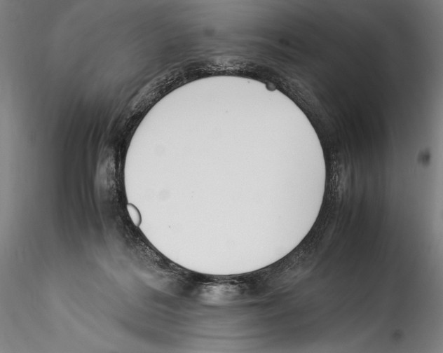 X0000115300220200911301520