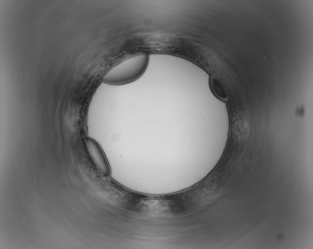 X0000115300221200911301520