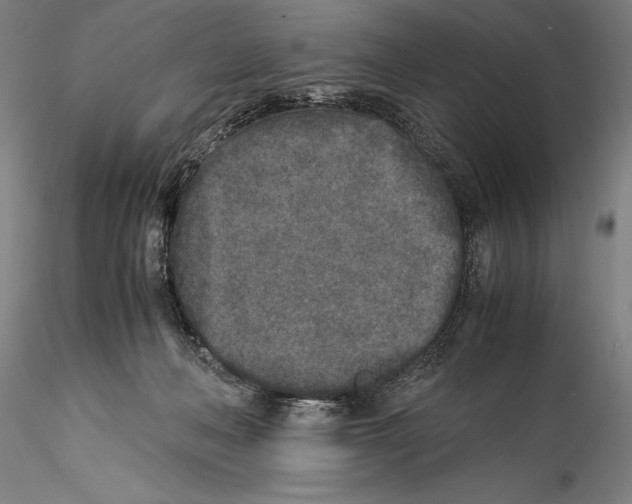 X0000115300222200911301520