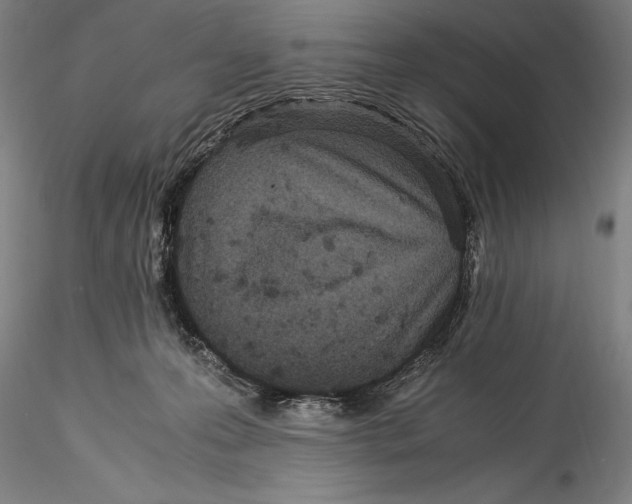 X0000115300223200911301520