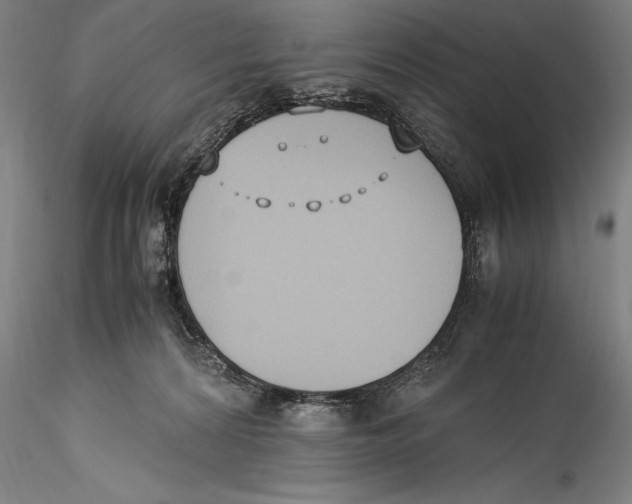 X0000115300224200911301520