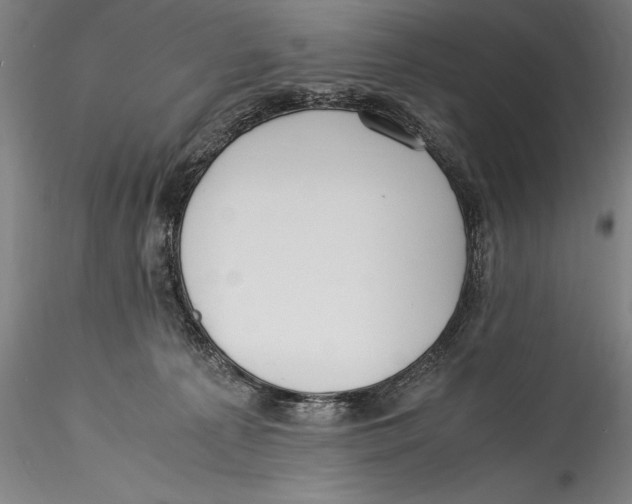 X0000115300225200911301520