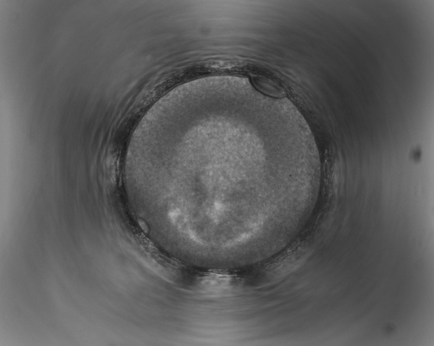 X0000115300227200911301520