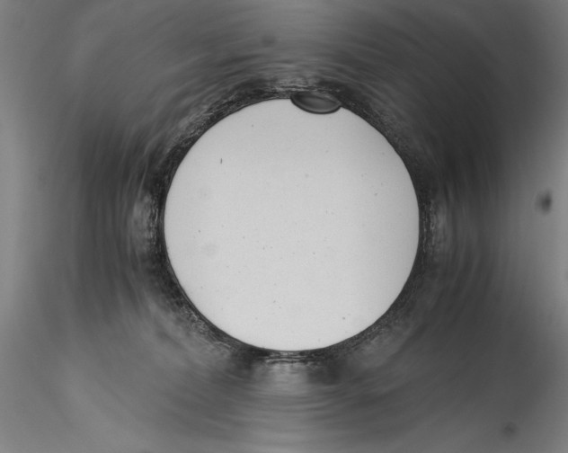 X0000115300228200911301520