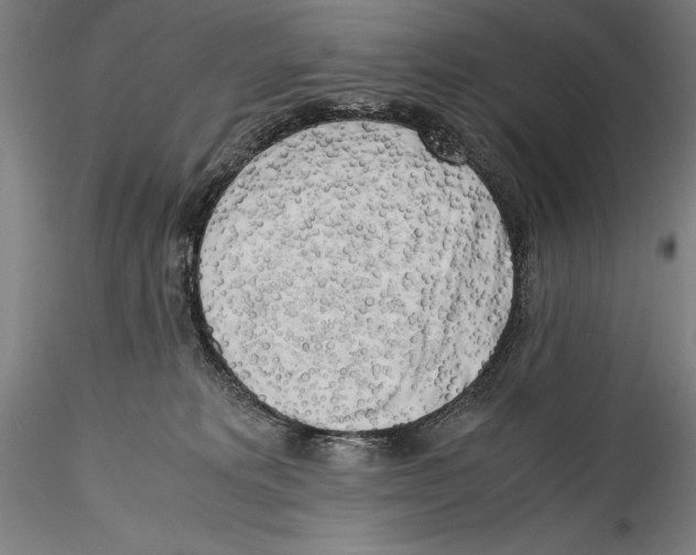 X0000115300229200911301520