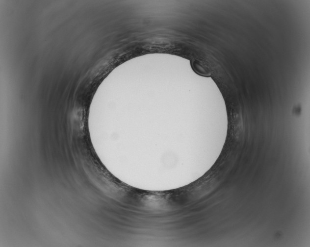 X0000115300232200911301520