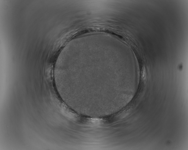 X0000115300233200911301520