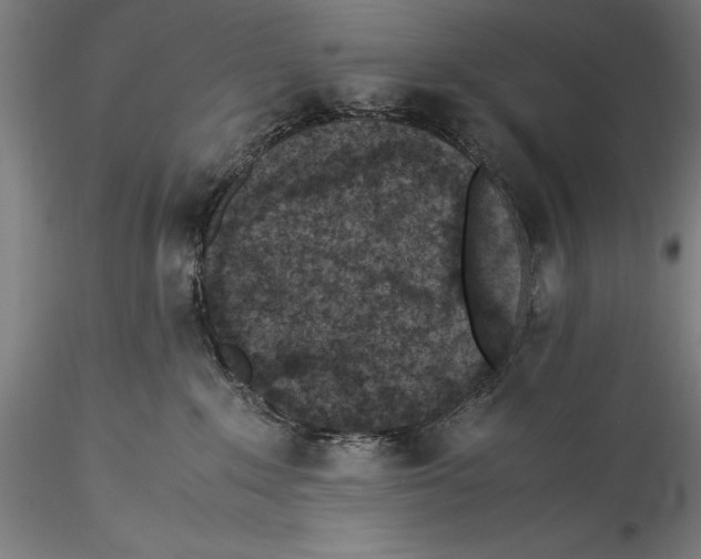 X0000115300235200911301520