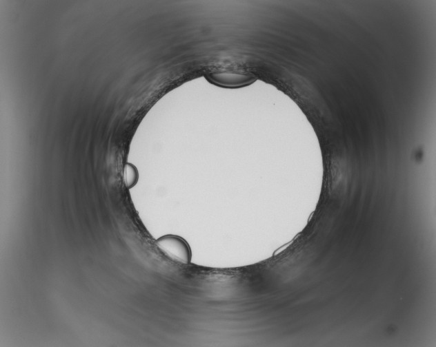 X0000115300236200911301520