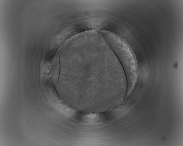 X0000115300237200911301520