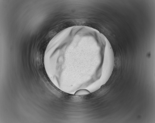 X0000115300238200911301520