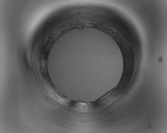 X0000115300239200911301520