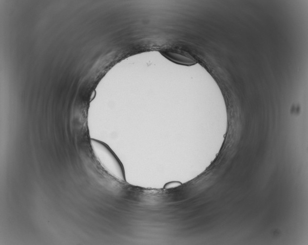 X0000115300240200911301520