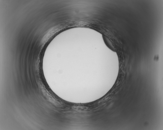 X0000115300242200911301519