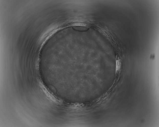 X0000115300243200911301519