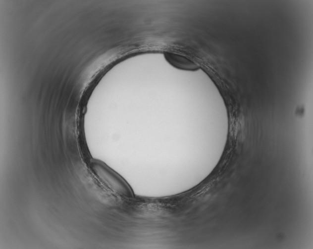 X0000115300244200911301519