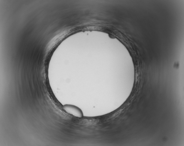 X0000115300245200911301519