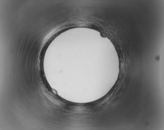 X0000115300246200911301519