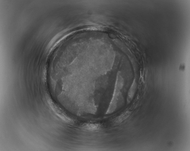 X0000115300247200911301519