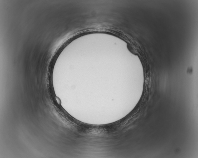 X0000115300248200911301520