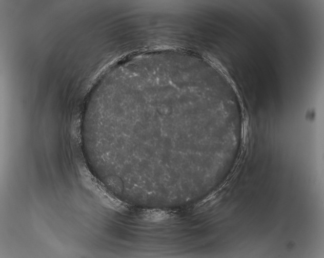 X0000115300249200911301520