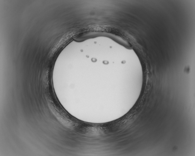 X0000115300250200911301520