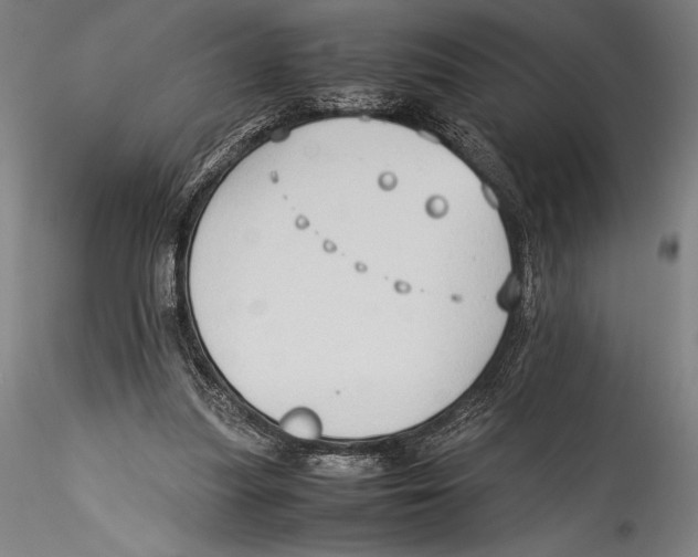 X0000115300251200911301520