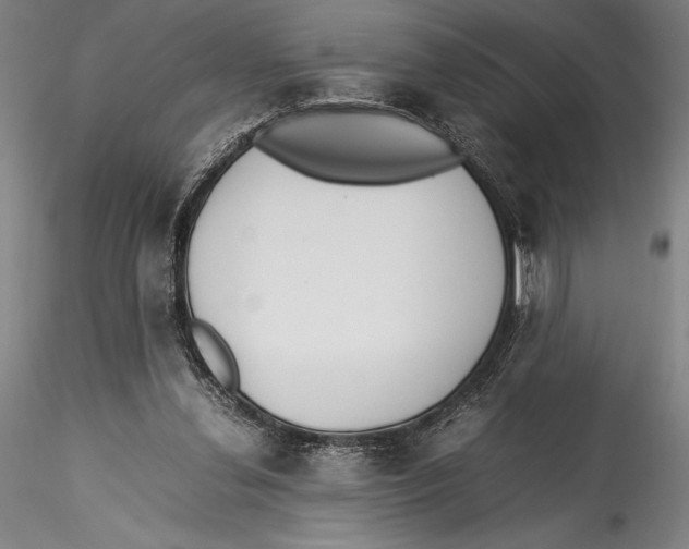 X0000115300252200911301520