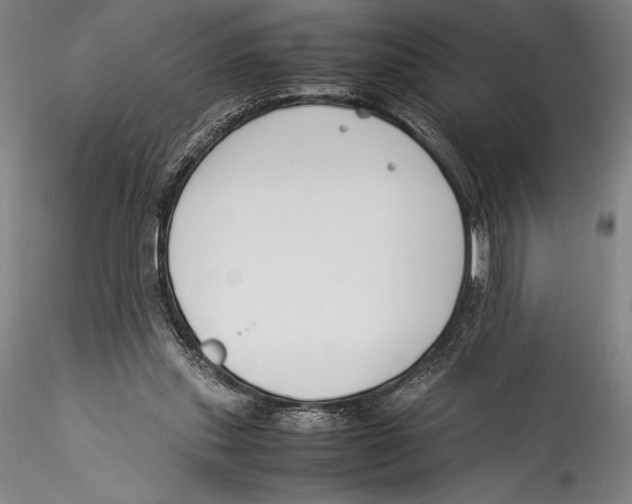 X0000115300253200911301520