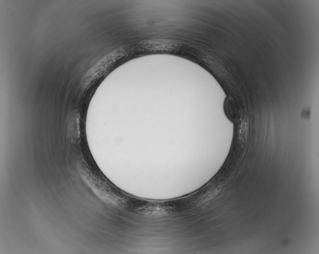 X0000115300254200911301520