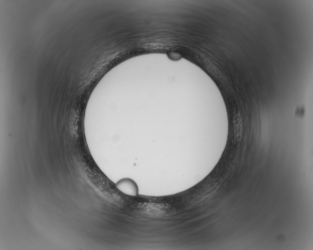 X0000115300255200911301520