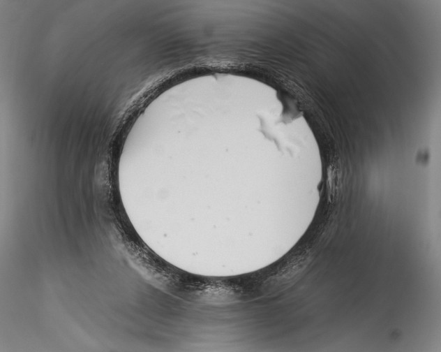 X0000115300256200911301520